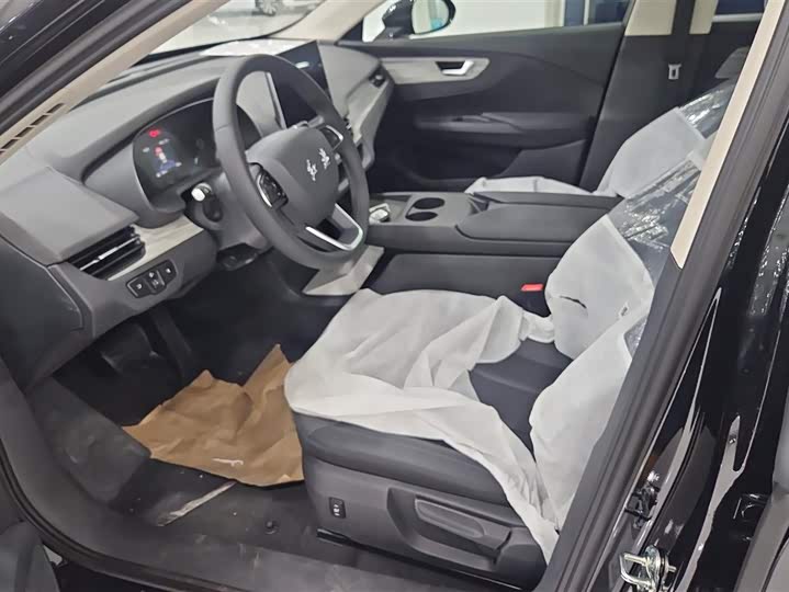 Hongqi E-QM5 2025 2025款 500km 出行版