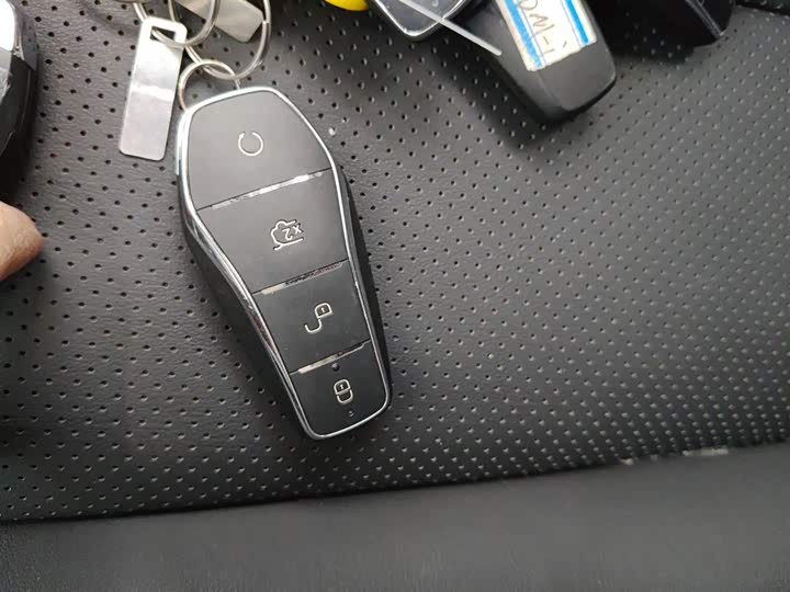 BYD Sea Lion 05 DM-i Hybrid 2025 2025款 DM-i 智驾版 115KM旗舰型