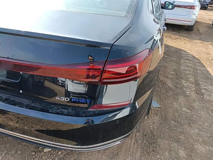 Volkswagen Passat Hybrid 2025 2025款 430PHEV 混动商务版