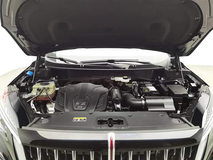 Hongqi HS3 2023 2023款 1.5T 两驱善为版