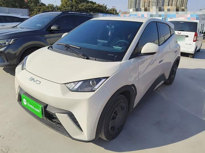 BYD Seagull 2025 2025款 305km 活力版