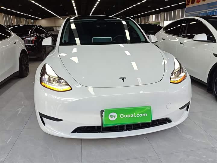 Tesla Model Y 2024 2024款 后轮驱动版