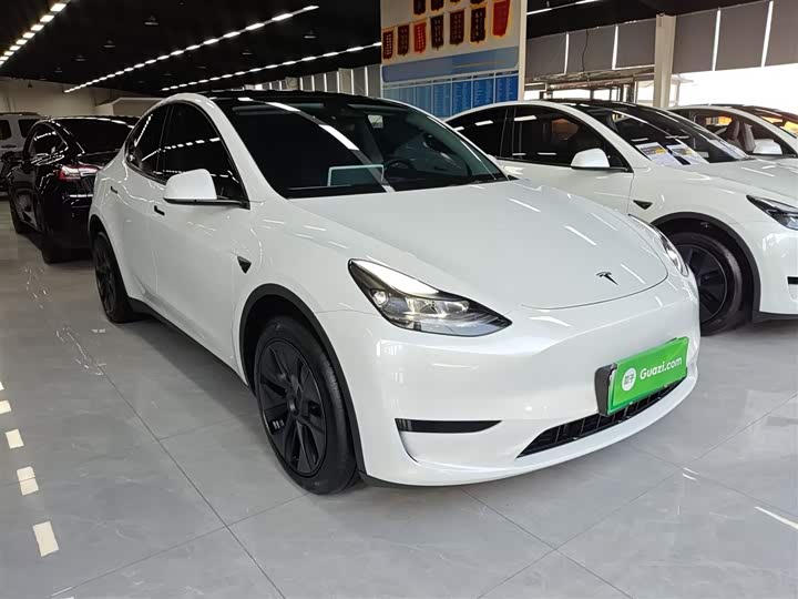Tesla Model Y 2024 2024款 后轮驱动版