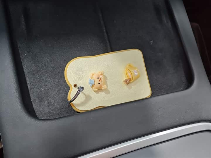 Tesla Model Y 2024 2024款 后轮驱动版