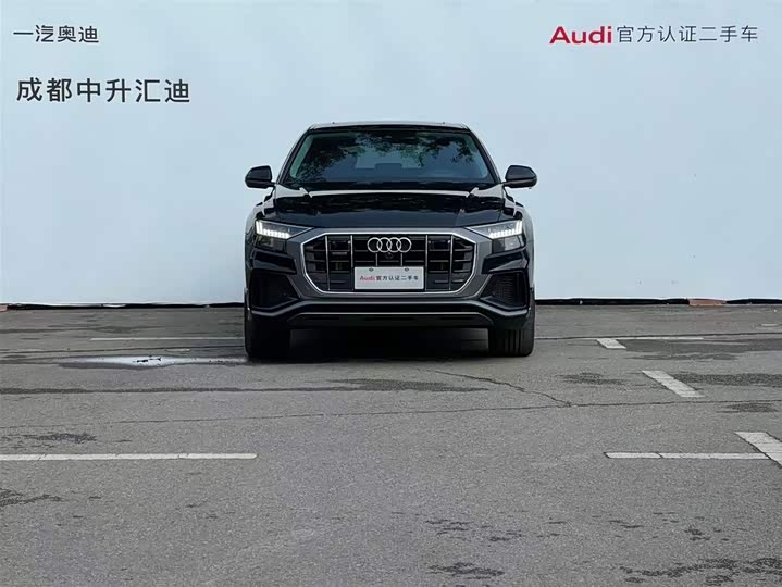 Audi Q8 2022 2022款 55 TFSI 豪华动感型