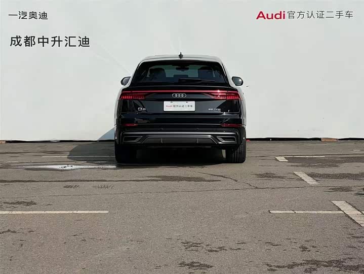 Audi Q8 2022 2022款 55 TFSI 豪华动感型