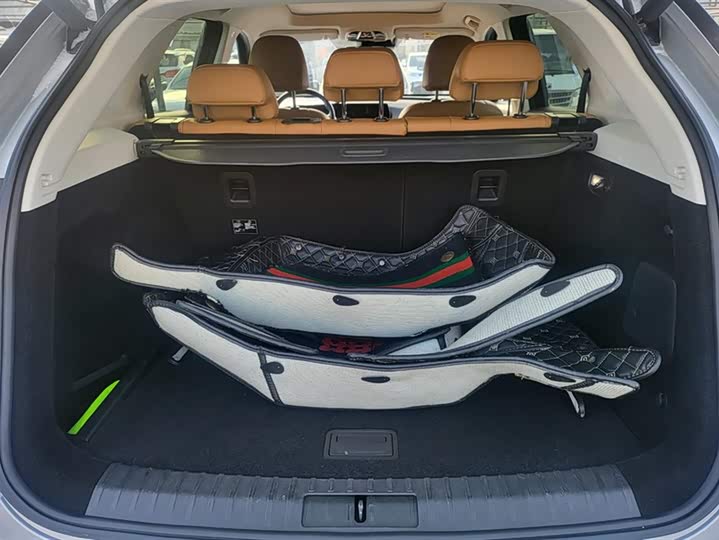 Beijing X7 2020 2020款 1.5TD DCT致领版