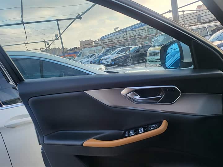 Beijing X7 2020 2020款 1.5TD DCT致领版