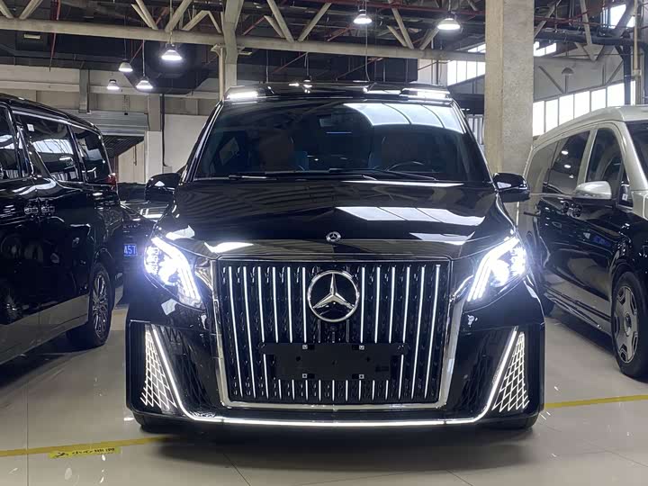 Mercedes-Benz Vito 2024 2024款 2.0T 商务版 7座