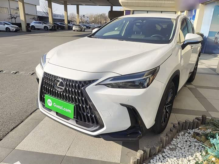 Lexus NX 2024 2024款 260 前驱 创驰版