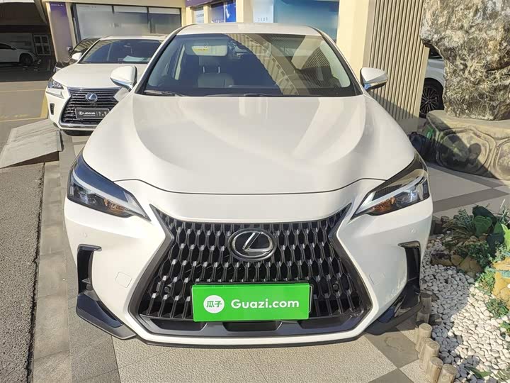 Lexus NX 2024 2024款 260 前驱 创驰版