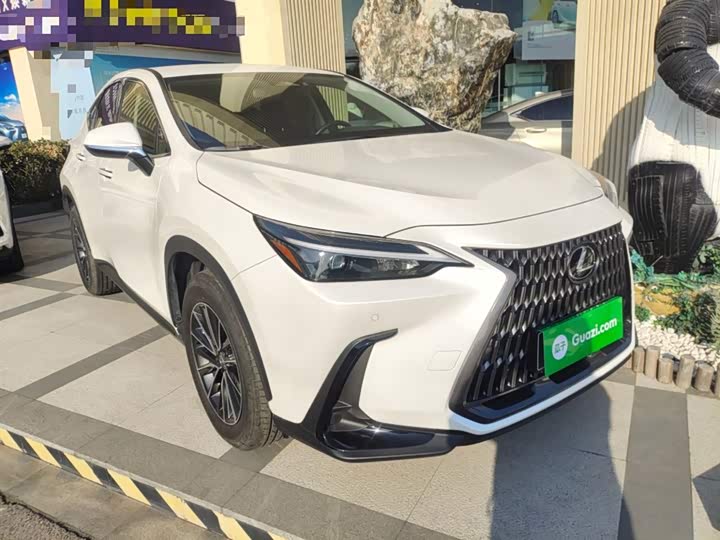 Lexus NX 2024 2024款 260 前驱 创驰版