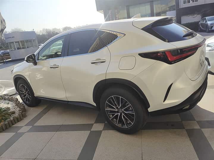 Lexus NX 2024 2024款 260 前驱 创驰版
