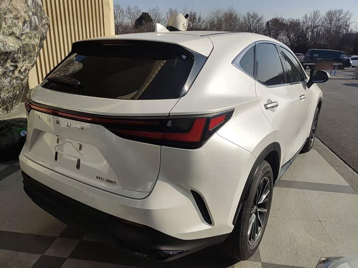 Lexus NX 2024 2024款 260 前驱 创驰版