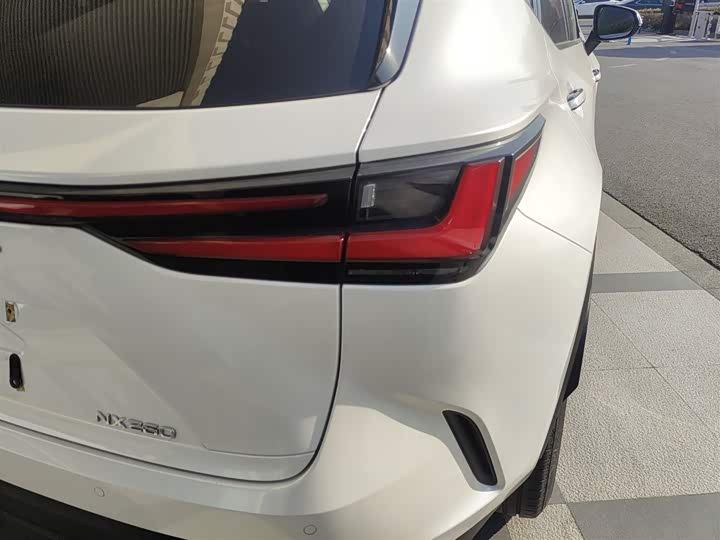 Lexus NX 2024 2024款 260 前驱 创驰版