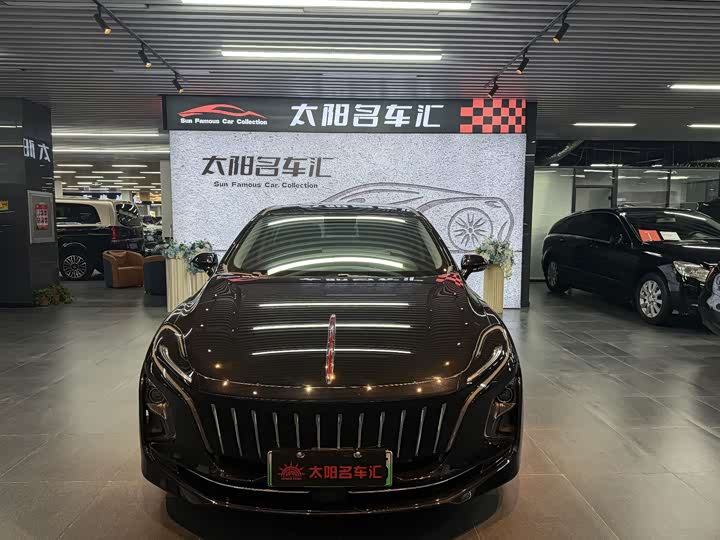 Hongqi E-QM5 2024 2024款 560km PLUS