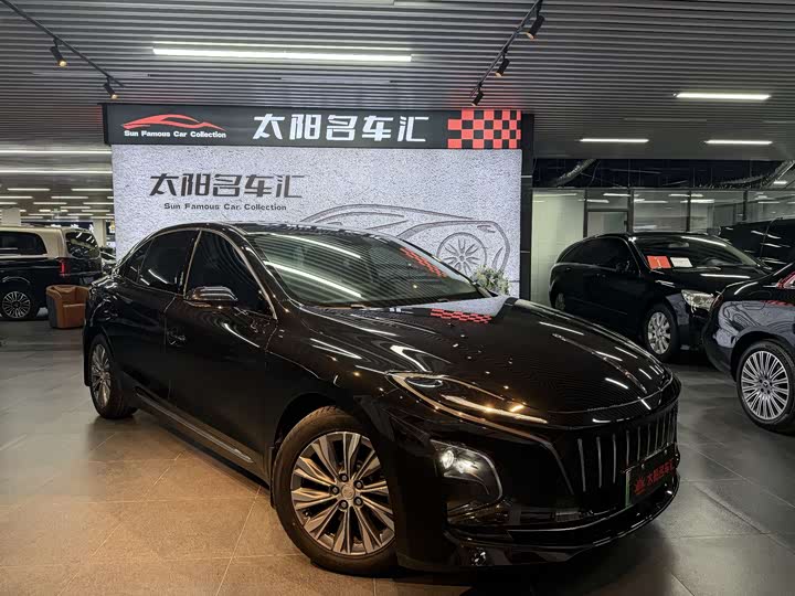 Hongqi E-QM5 2024 2024款 560km PLUS