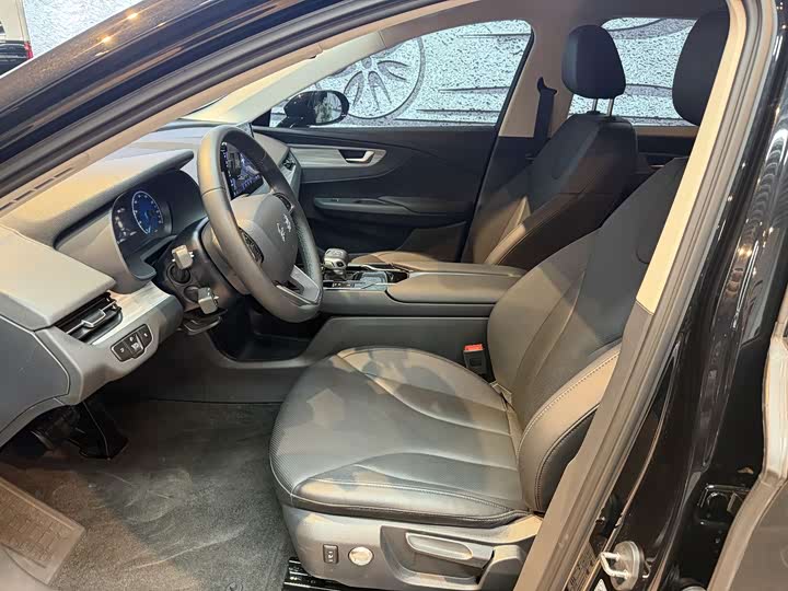 Hongqi E-QM5 2024 2024款 560km PLUS