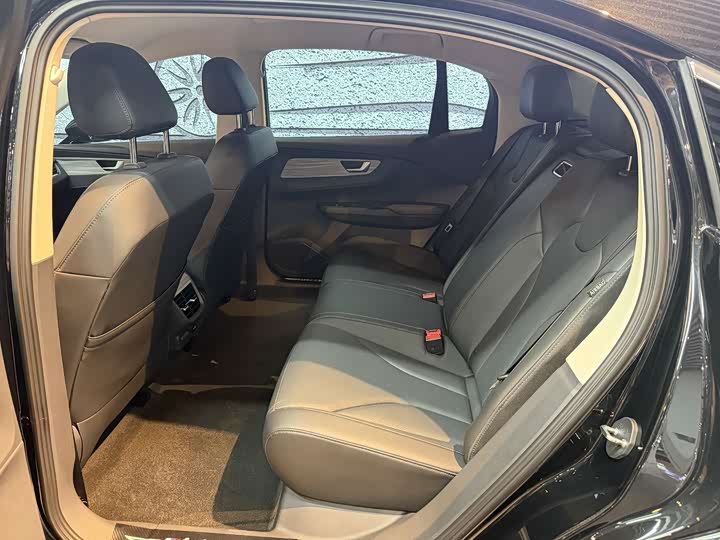 Hongqi E-QM5 2024 2024款 560km PLUS