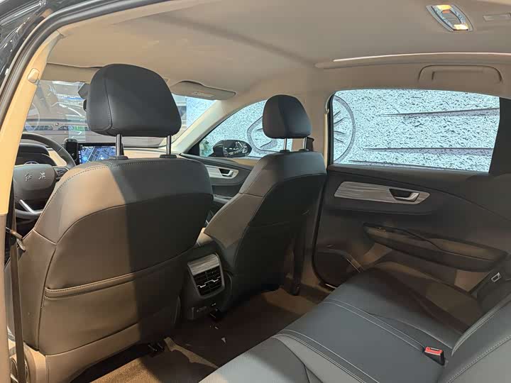 Hongqi E-QM5 2024 2024款 560km PLUS