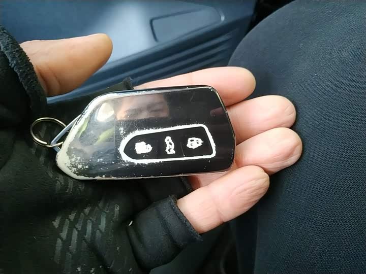 Volkswagen ID.4 Crozz 2024 2024款 纯享限量版