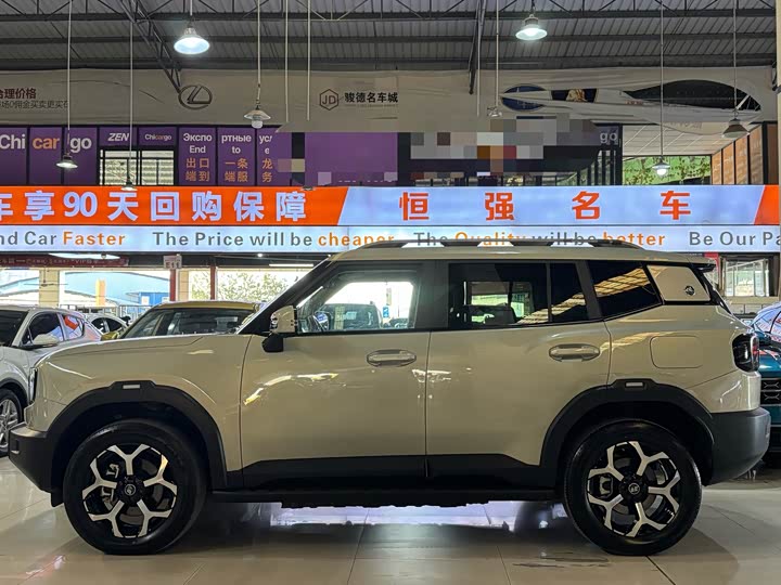 Jetour Shanhai T1 2024 2024款 150km 向海