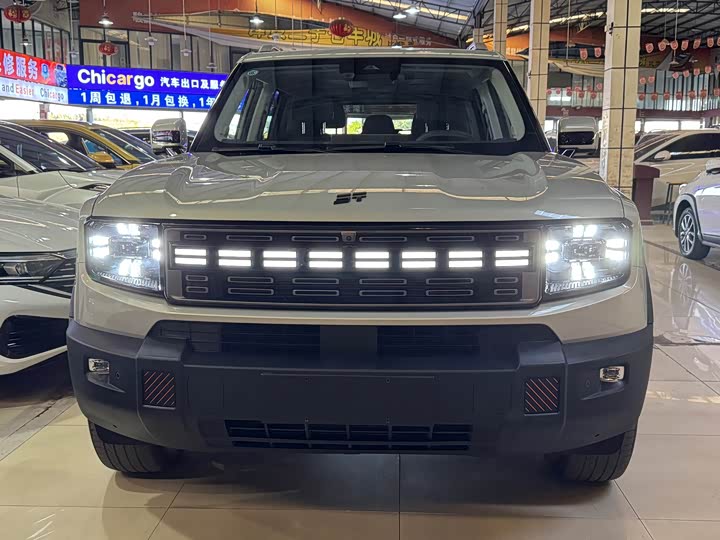 Jetour Shanhai T1 2024 2024款 150km 向海