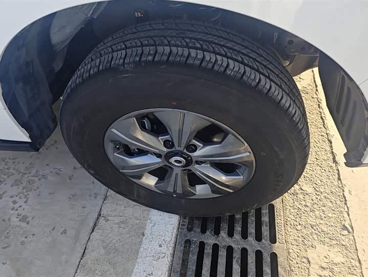 Great Wall Pao 2024 2024款 2.4T商用版自动柴油两驱精英型