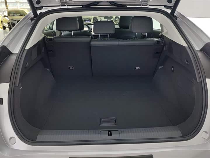 XPeng G6 2025 2025款 625 长续航 Max 科技版