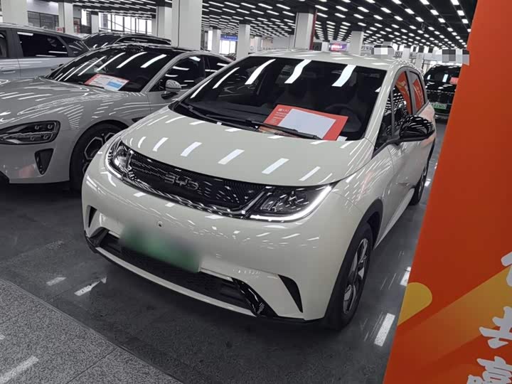 BYD Dolphin 2025 2025款 420km 自由版