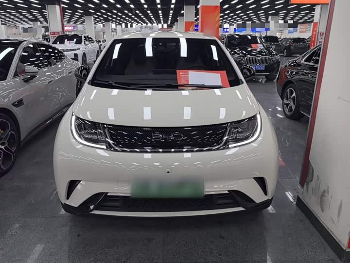 BYD Dolphin 2025 2025款 420km 自由版