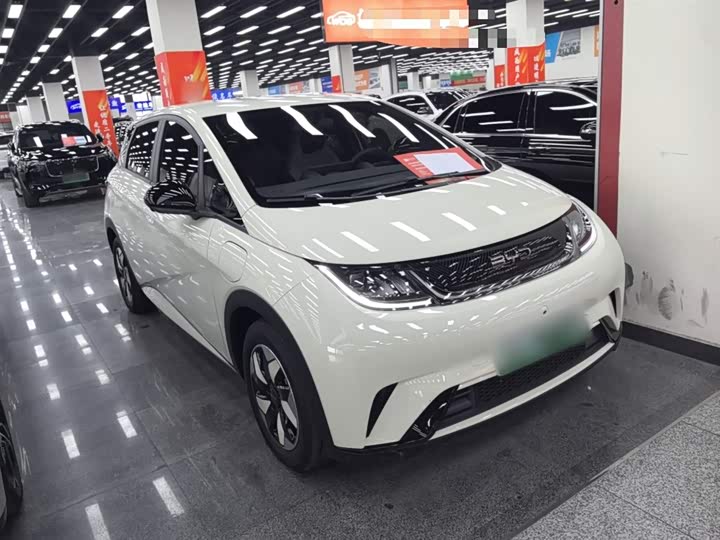 BYD Dolphin 2025 2025款 420km 自由版