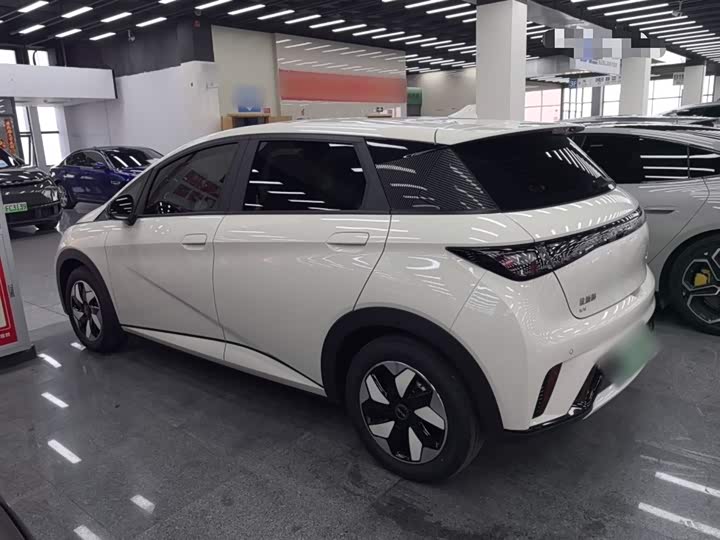 BYD Dolphin 2025 2025款 420km 自由版
