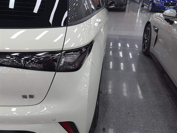 BYD Dolphin 2025 2025款 420km 自由版