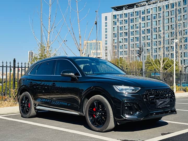 Audi Q5L 2025 2025款 40 TFSI 豪华动感型