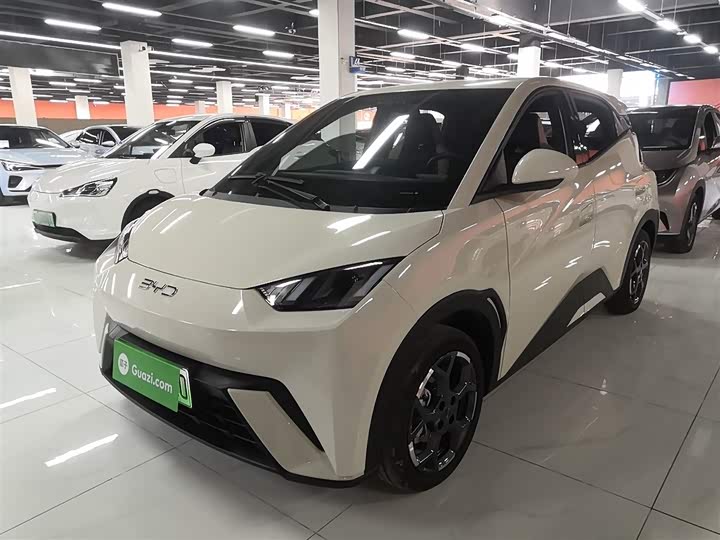 BYD Seagull 2025 2025款 305km 自由版