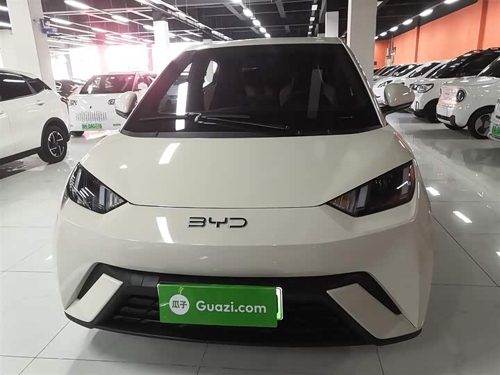 BYD Seagull 2025 2025款 305km 自由版