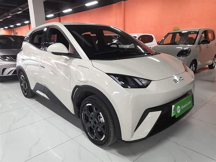 BYD Seagull 2025 2025款 305km 自由版