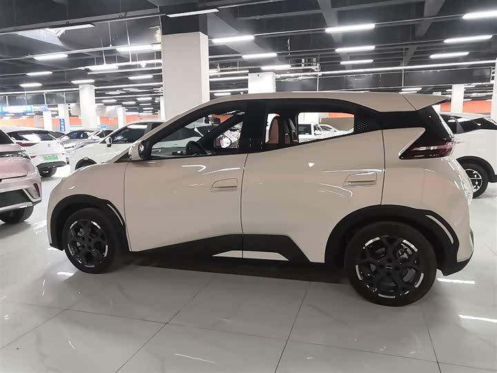 BYD Seagull 2025 2025款 305km 自由版