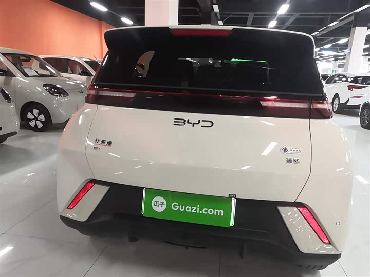 BYD Seagull 2025 2025款 305km 自由版