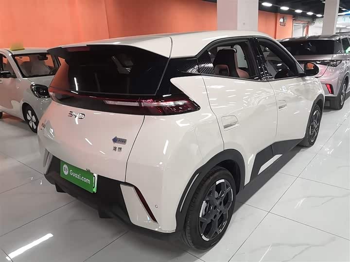 BYD Seagull 2025 2025款 305km 自由版