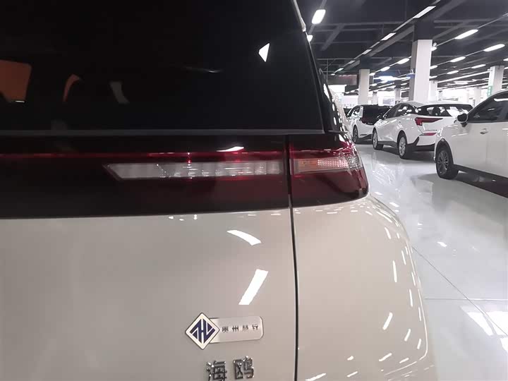 BYD Seagull 2025 2025款 305km 自由版