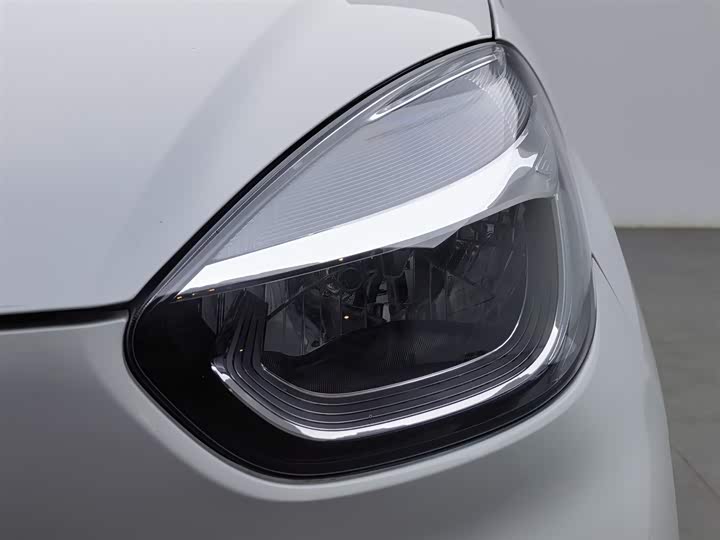 Roewe Clever 2022 2022款 311km元气啵啵版