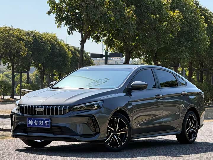 2024 Geely Binrui