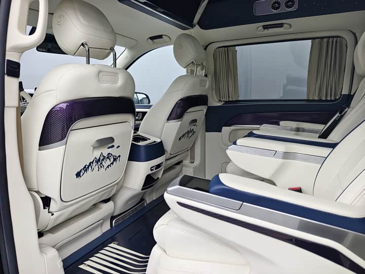 Mercedes-Benz V-Class 2022 2022款 V 260 L 长轴距尊贵版