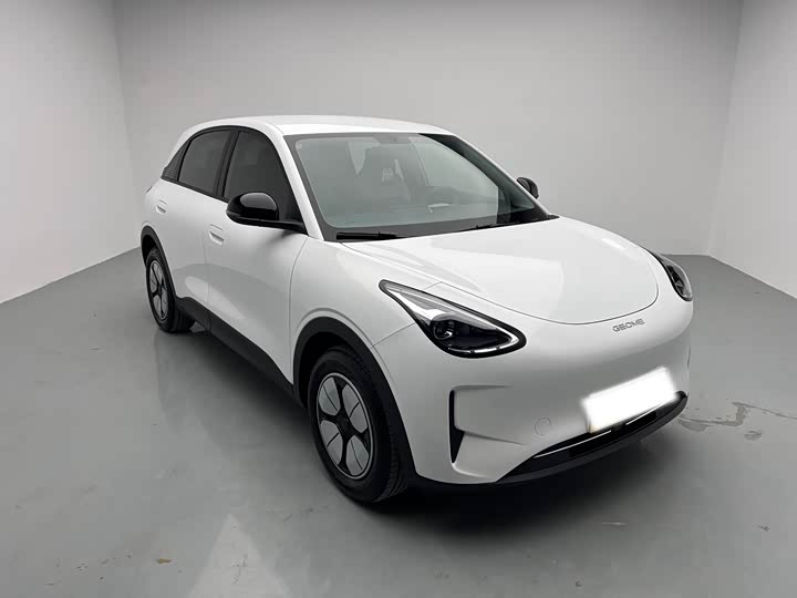 Geely Galaxy Geome 2025 2025款 310km 青春版