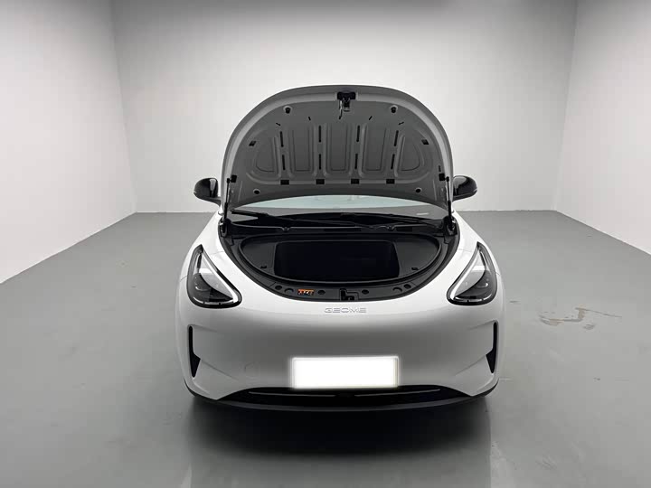 Geely Galaxy Geome 2025 2025款 310km 青春版