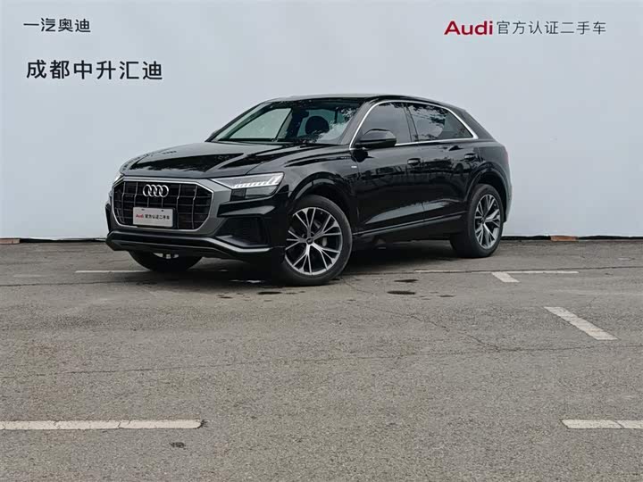 Audi Q8 2023 2023款 55 TFSI 豪华动感型