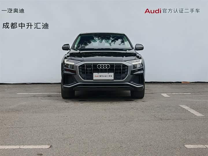 Audi Q8 2023 2023款 55 TFSI 豪华动感型