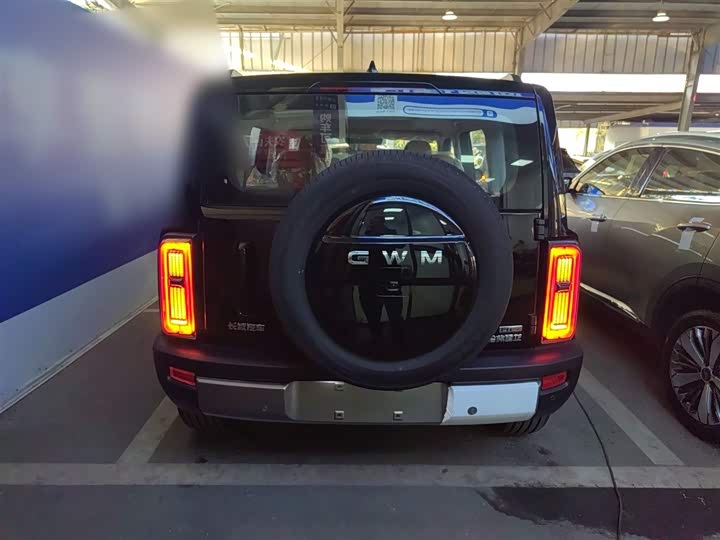 Haval Raptor Hybrid 2026 2026款 Hi4 105 Pro